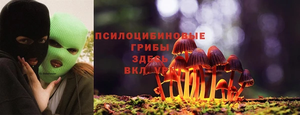 МДПВ Наволоки