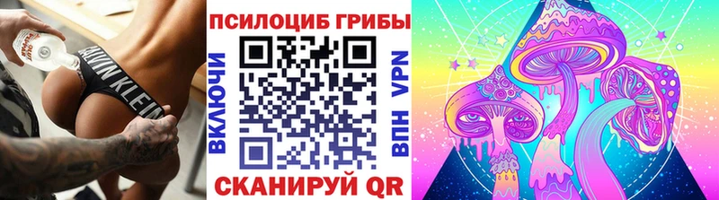 omg ССЫЛКА  Никольское  Псилоцибиновые грибы мухоморы 
